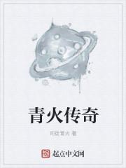 盘龙之青火传奇