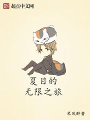 夏目解说