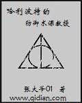 哈利波特第六部黑魔法防御课老师