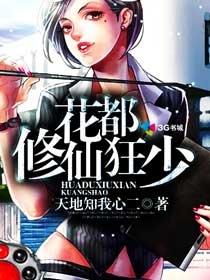 空姐的贴身高手有声