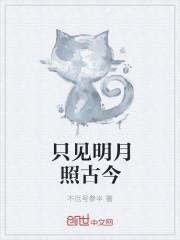 明月照古今的诗句