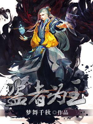 盗王之王书籍
