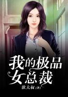 我的极品女总裁免费阅读无弹窗